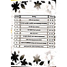 Akshansh Second 2nd Grade 2nd Paper Science (Botany Jeev Vigyan) Complete Notes Book By Rahul Sir May 2026 Edition For 2nd Grade Exam