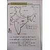 New India Geography Of Rajasthan (Rajasthan Ka Bhugol) Handwritten Notes With Colorful Images and Diagrams By Omkar Singh Gurjar and Hanuman Beniwal For RAS and RPSC and RSMSSB Exam Related